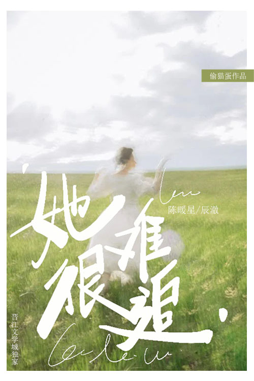 她很难追的小说免费阅读