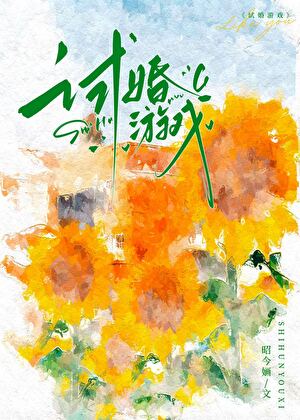 试婚游戏